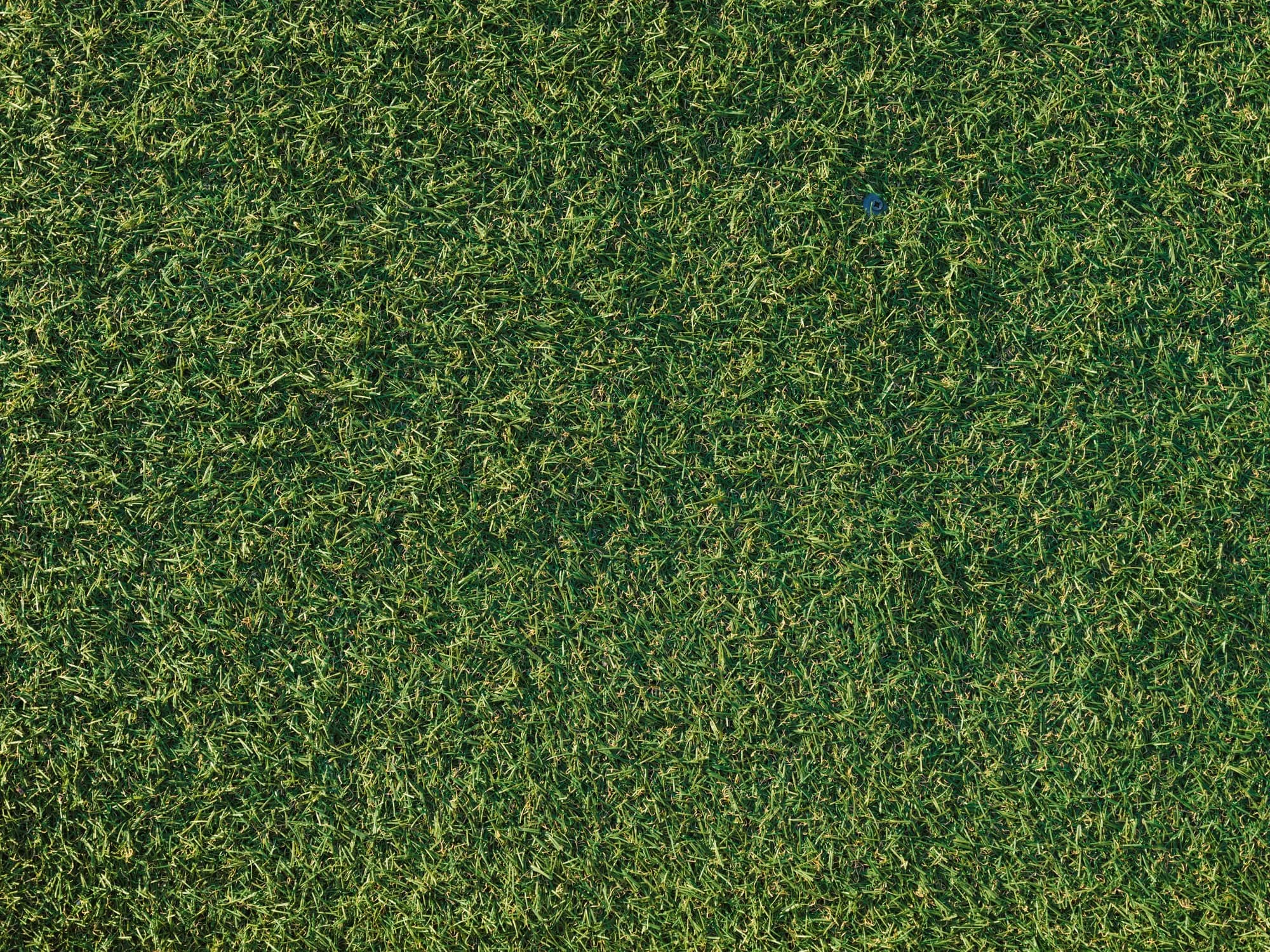 Artificial grass seen from above