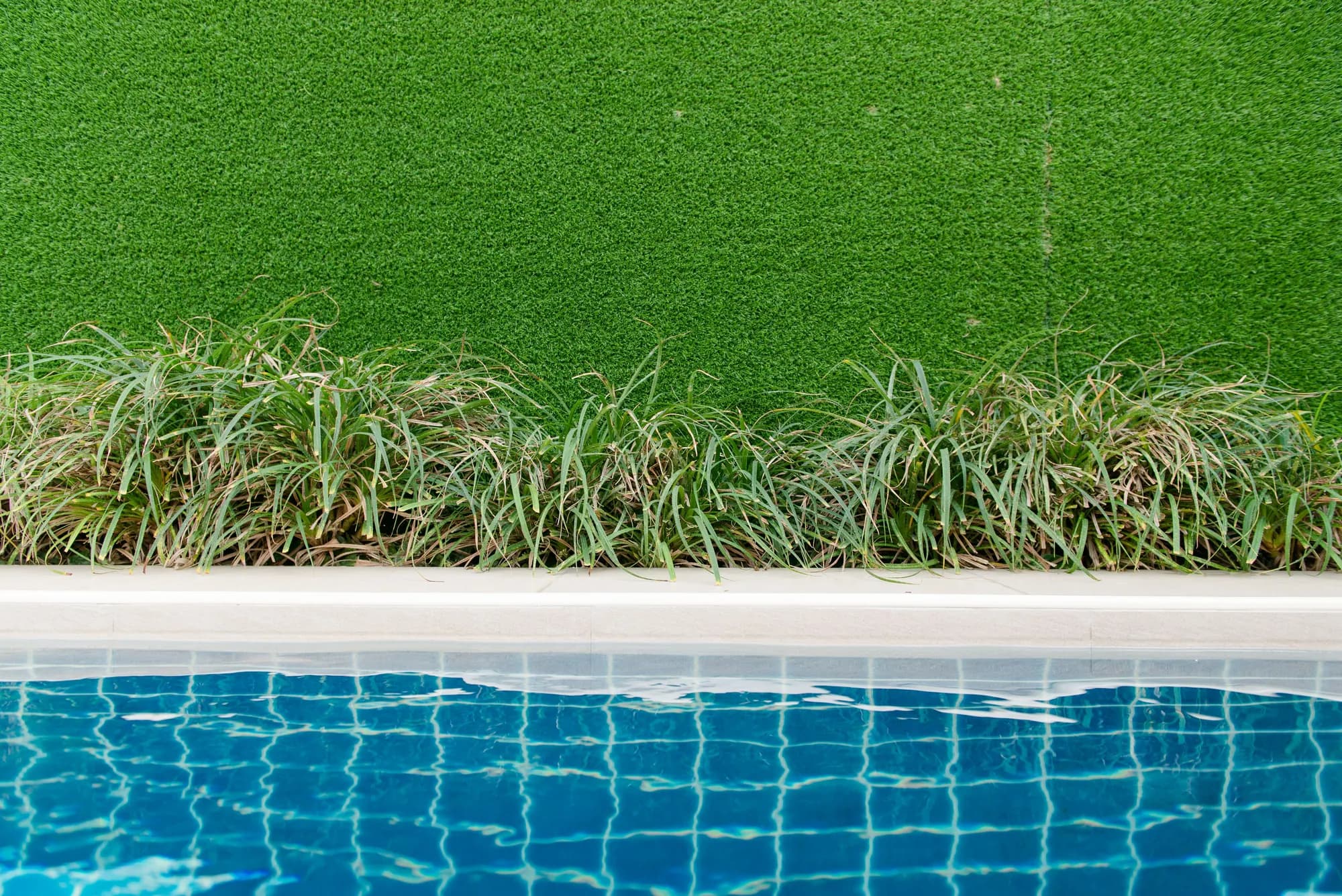 Artificial grass lawn edge next to a swimming pool