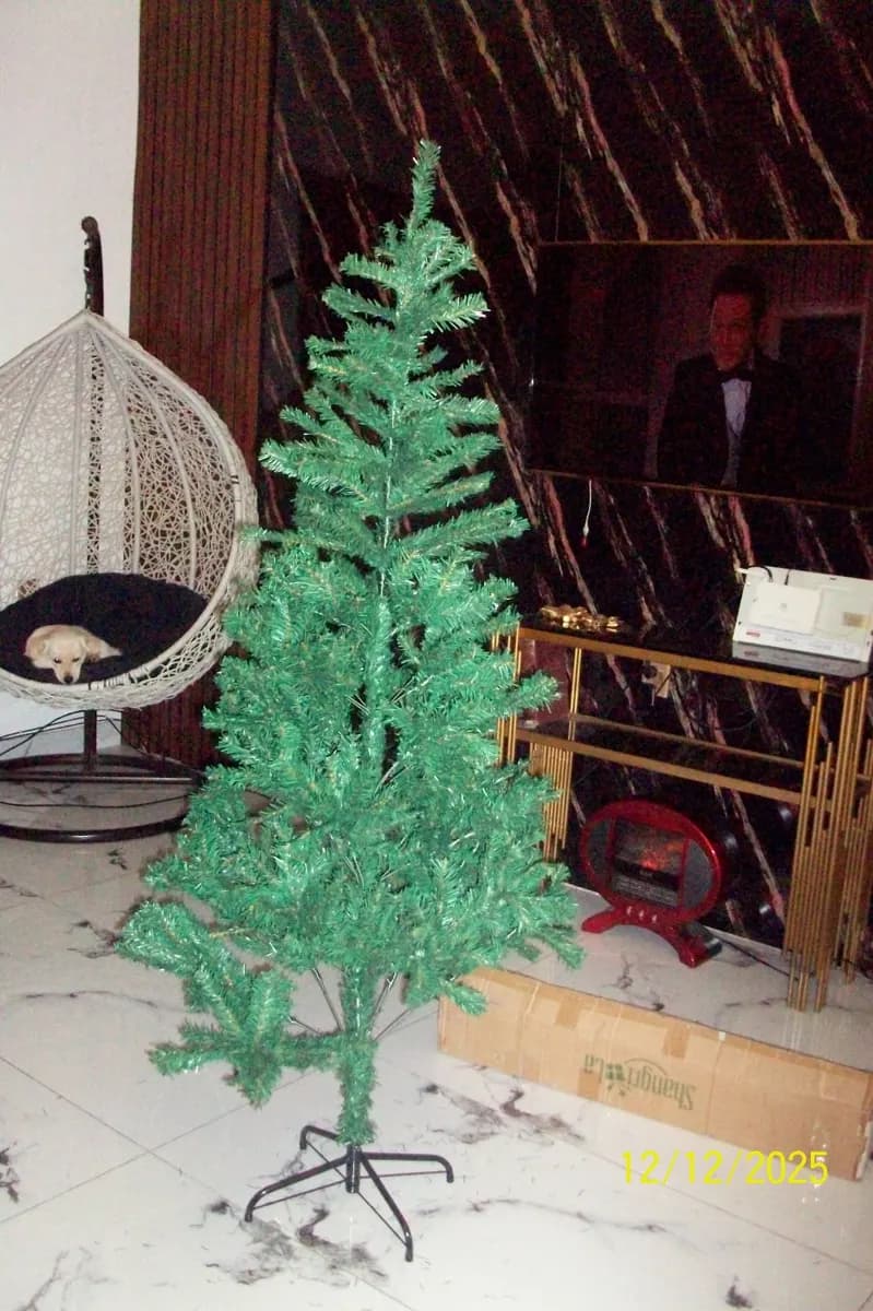 A customer's 6 ft SmartShoppers Christmas tree set up at home