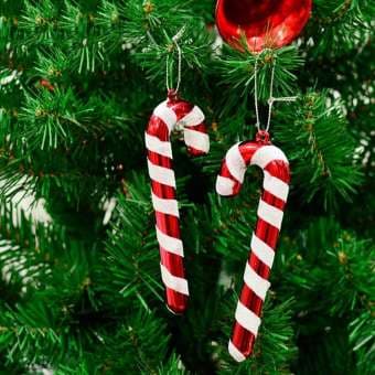 Pack of 6 Candy Cane for Christmas Tree Decoration (Small)