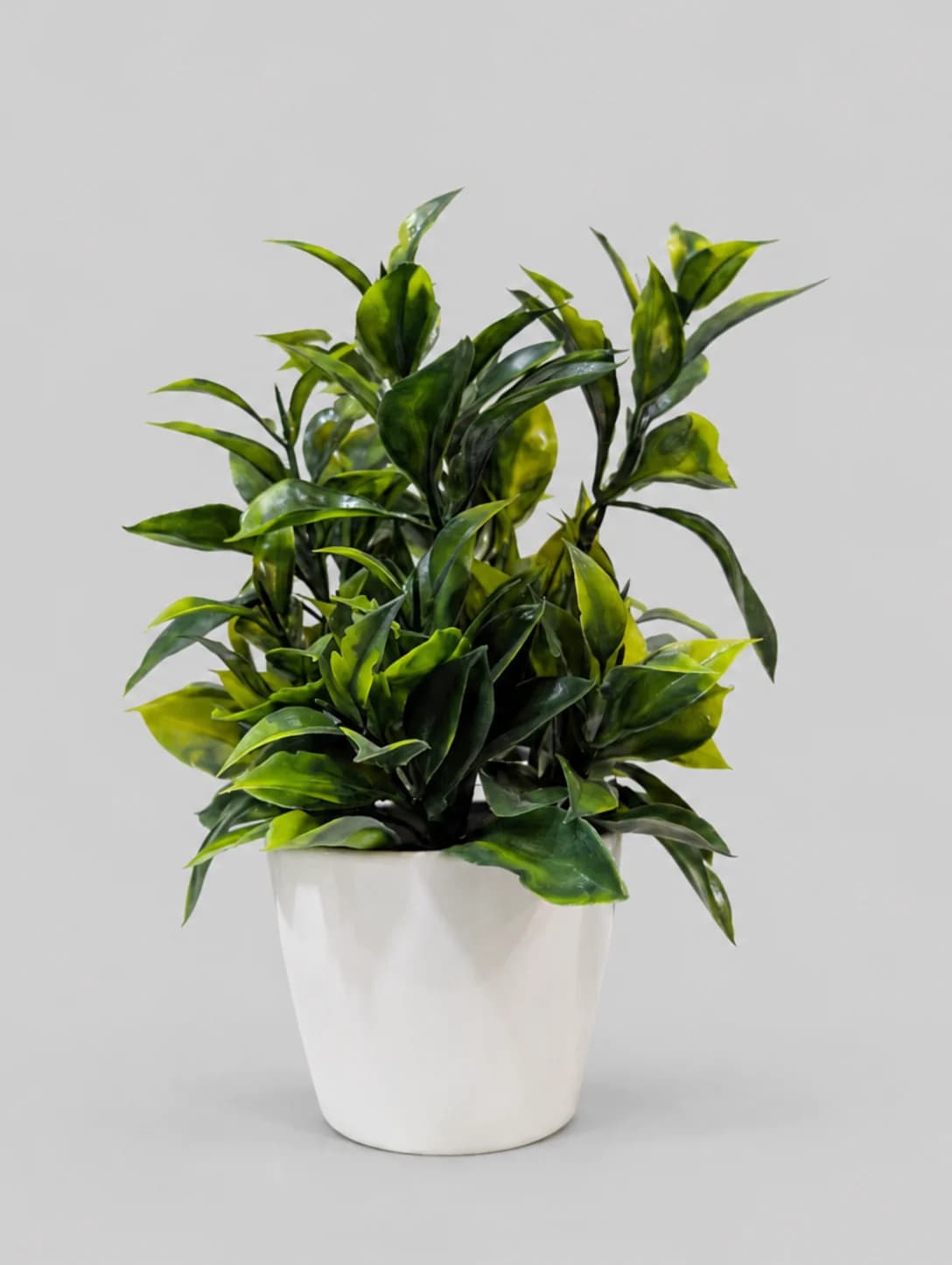 Artificial Dark Green Long Leaf Plant in White Matte Pot