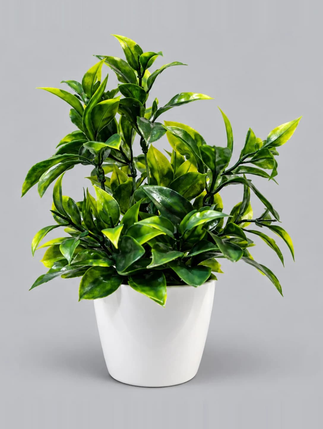 Artificial Dark Green Pointed Leaf Plant in White Glossy Pot