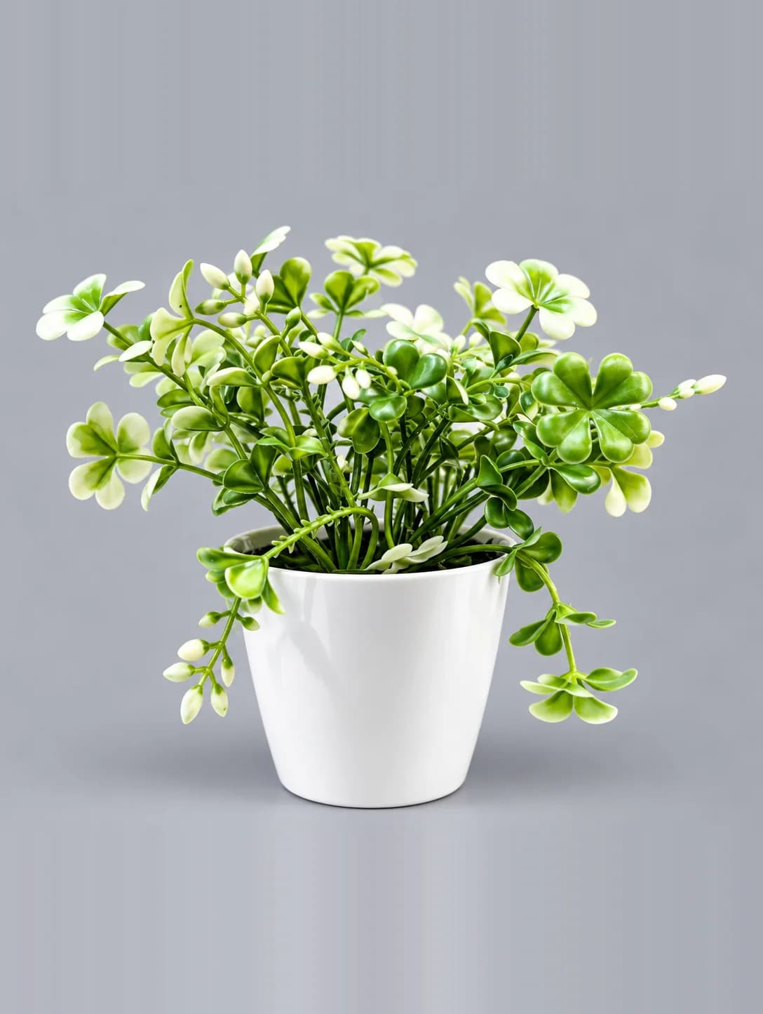 Artificial Green and Cream Clover Leaf Plant in White Tapered Pot