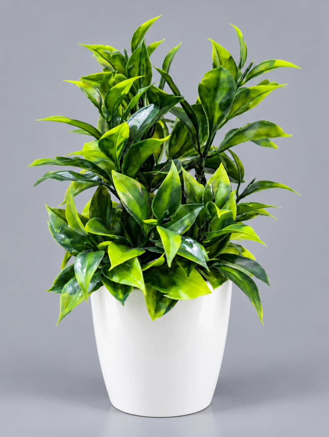 Artificial Green and Lime Leaf Plant in White Rounded Glossy Pot