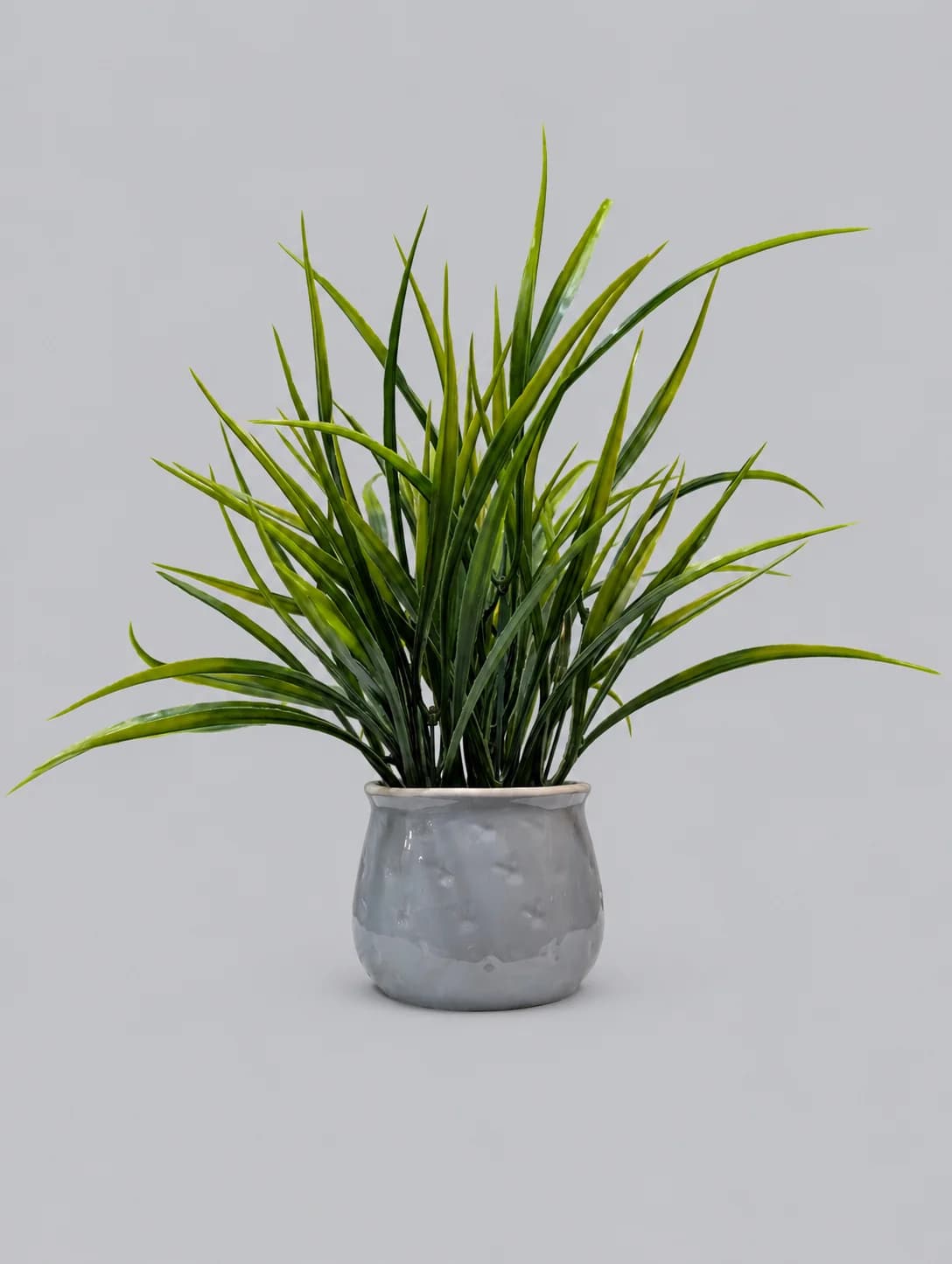Artificial Green Grass Plant in Grey Glossy Pot with Cream Rim