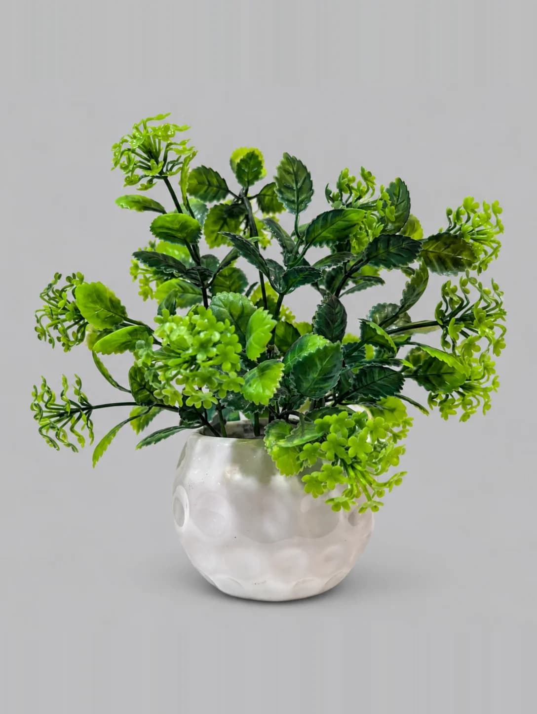 Artificial Green Leafy Plant with Lime Flower Clusters in White Dimpled Pot