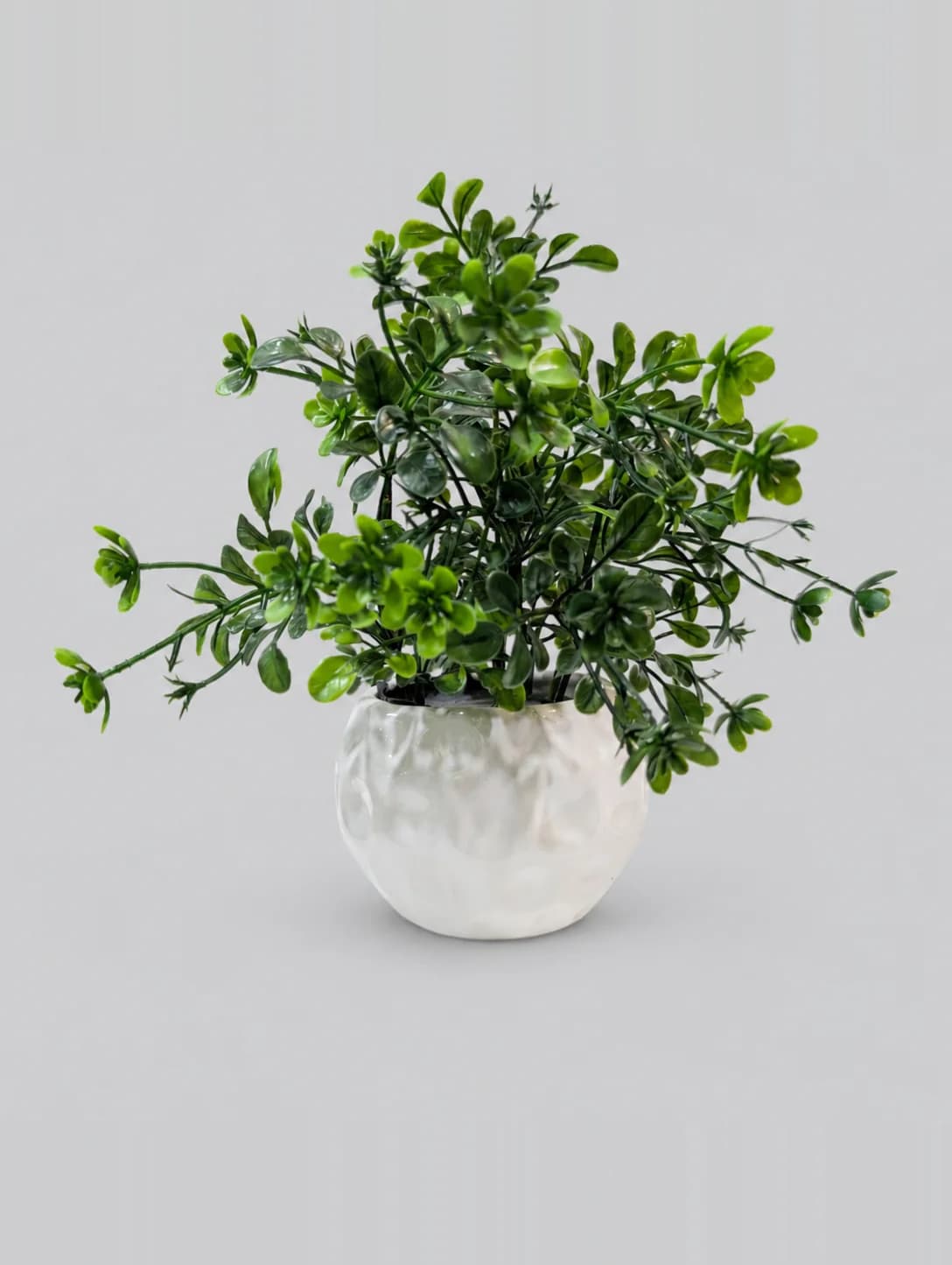 Artificial Green Small Leaf Plant in White Round Pot