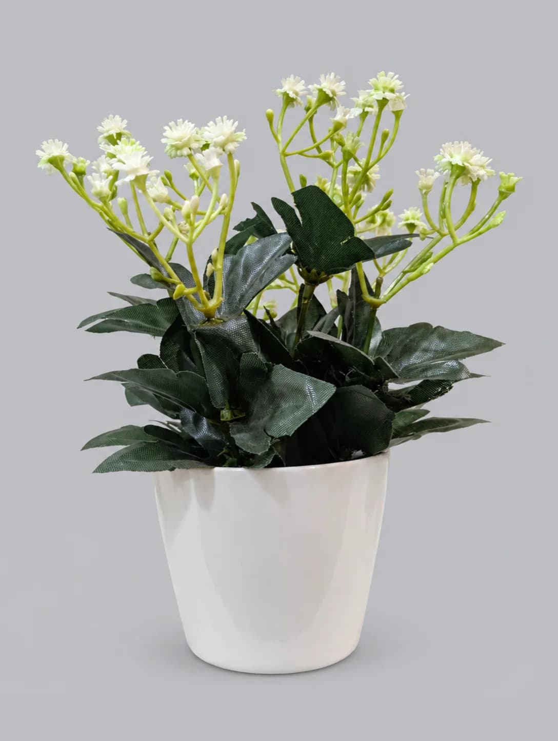 Artificial White Mini Daisy-Style Flower Plant with Dark Leaves in Cream White Pot