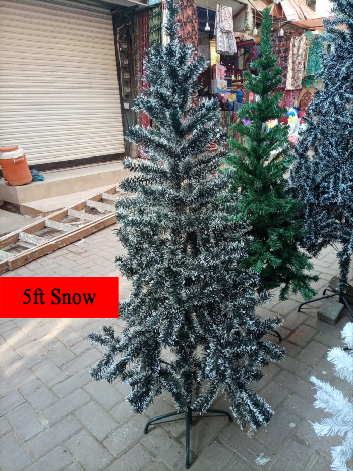 5ft snow